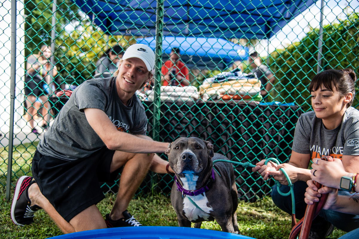 pit bull with Humane Society and volunteers