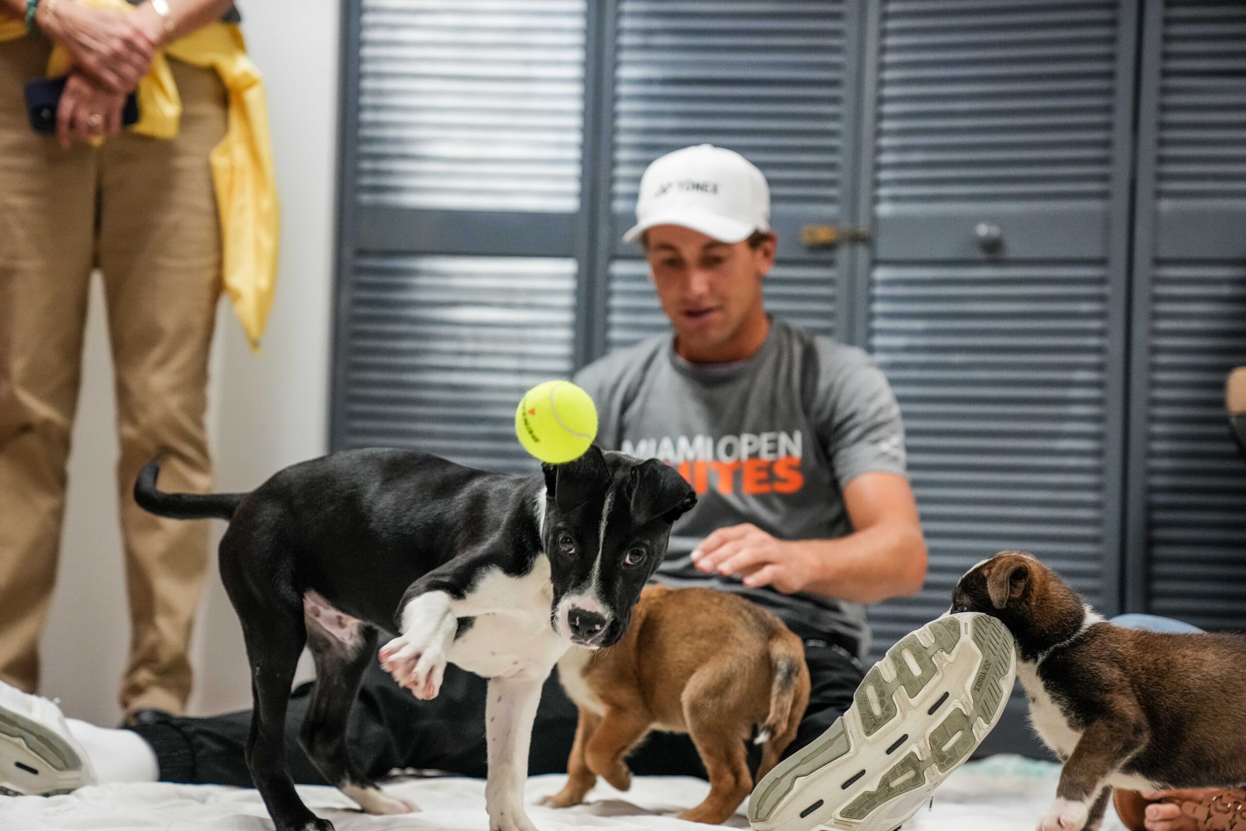 Casper Ruud and puppy playing with a tennis ball during the Miami Open Unites Humane Society event in Miami on March 20, 2023.